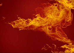 湾田国际招商为何如此火爆?